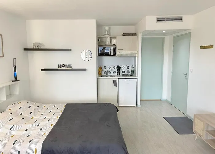 Appartement Near Train Station And Sanctuary Lourdes