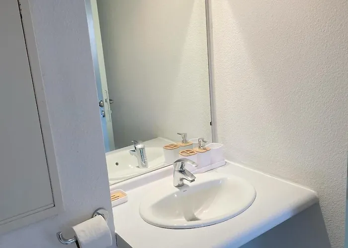 Appartement Near Train Station And Sanctuary Lourdes